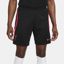 Nike Dri-FIT Liverpool FC Men's Football Shorts - Black/Pink - DJ8595-012