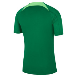 DH6447-302 - Nike Nigeria Strike Football Training Jersey - Pine Green/Green Strike/White