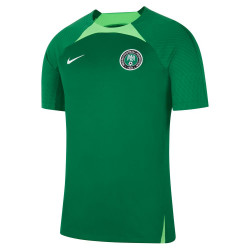 DH6447-302 - Maillot d'entraînement de football Nike Nigeria Strike - Pine Green/Green Strike/White