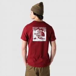 7X1K-6R3 - T-shirt The North Face Redbox Celebration pour homme - Cordovan