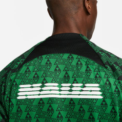 DH4747-302 - Veste de football homme Nike Nigeria Academy Pro - Pine Green/Black/White