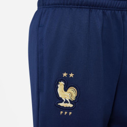 DM9999-410 - Nike France (FFF) Academy Pro children's pants - Midnight Navy/Metallic Gold