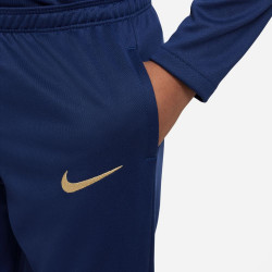 DM9999-410 - Nike France (FFF) Academy Pro children's pants - Midnight Navy/Metallic Gold