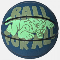 Ballon de basketball Nike Everyday Playground 8p Graphic - Bleu/Vert - N100437143407