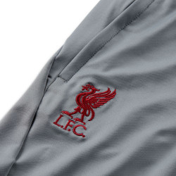 Pantalon d'entraînement football enfant Nike Liverpool FC Strike - Gris fumé/rouge dur - DR4793-084