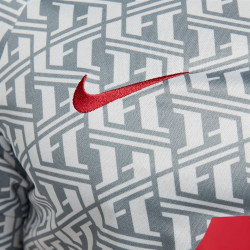 Haut manches courtes Nike Liverpool FC - Gris loup/rouge dur/rouge dur - DR4904-013