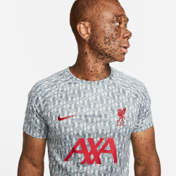 Haut manches courtes Nike Liverpool FC - Gris loup/rouge dur/rouge dur - DR4904-013