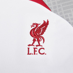 Haut manches courtes Nike Liverpool FC Strike - Blanc/Gris Fumé/Rouge Robuste - DR4587-101