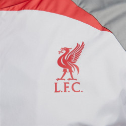 Coupe-vent Nike Liverpool FC AWF - Gris Loup/Gris Fumé/Rouge Robuste/Rouge Robuste - DV1919-012