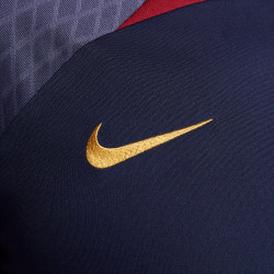 Haut manches courtes Nike Paris Saint-Germain Strike - Daim Bleu Noirci/Bleu Noirci/Doré - DX3022-499