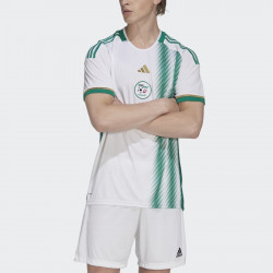Maillot de football adidas Algérie domicile 2023-2024 pour homme - Blanc/Vert - HE9254