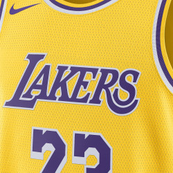 Maillot LeBron James Nike Los Angeles Lakers Icon Edition 2022/23 - Amarillo/James Lebron 23 - DN2009-733