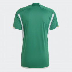 Adidas Away Algeria 22 short-sleeved football top for men - Bgreen/White - HE9256