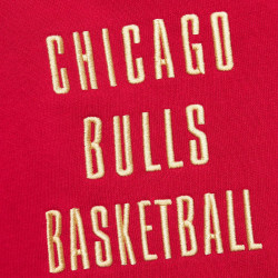 Mitchell & Ness NBA Chicago Bulls Team Og 2.0 Fleece Vintage Logo Men's Basketball Hoodie - Red