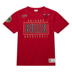 T-Shirt manches courtes de Basketball Mitchell & Ness NBA Chicago Bulls Team Og 2.0 Premium Vintage Logo - Rouge