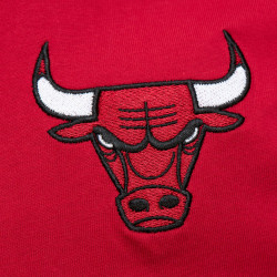 Mitchell & Ness NBA Chicago Bulls Team Og 2.0 Premium Vintage Logo Short Sleeve Basketball T-Shirt - Red
