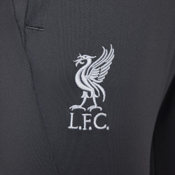 Pantalon de Football Nike Liverpool FC Strike pour homme - Anthracite/(Wolf Grey) - FD7104-060