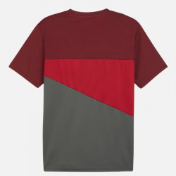 Puma Milan Ac 2024 Polyester Short Sleeve Football T-Shirt for Men - Red/Grey - 777111 01