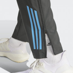 Adidas Argentina (AFA) Presentation 2024 Men's Football Pants - Carbon - IQ0804