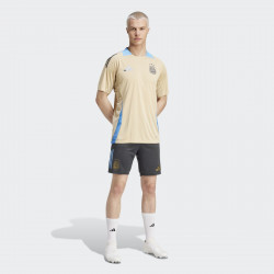 Adidas Argentina (AFA) Training 2024 Men's Football Shorts - Carbon - IQ0811
