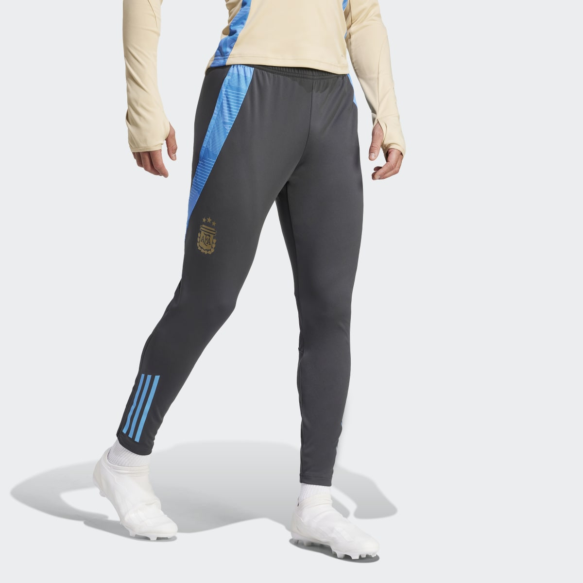 Adidas Argentina (AFA) Training 2024 Men's Football Pants - Carbon