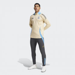 Pantalon de football Adidas Argentine (AFA) Training 2024 pour homme - Carbon - IQ0824